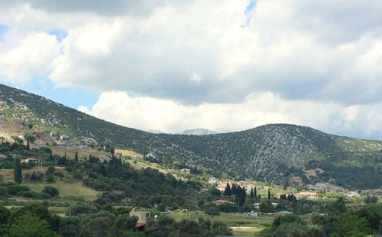 Zeytinli Konak Bed & Breakfast İzmir Luaran gambar