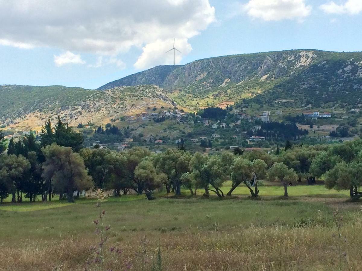 Zeytinli Konak Bed & Breakfast İzmir Luaran gambar